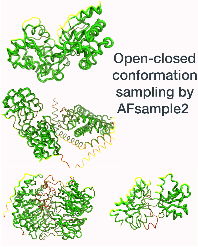 Conformational Sampling AFsample2: Sampling the Diverse Conformational Landscape of Proteins By ...